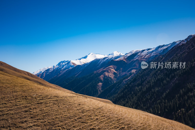 新疆天山山脉秋天雪山牧场风景