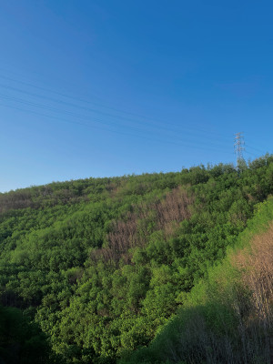 沿路的风景