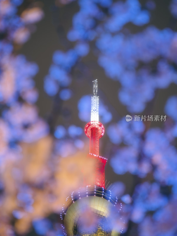 透过樱花拍摄夜晚的上海东方明珠塔