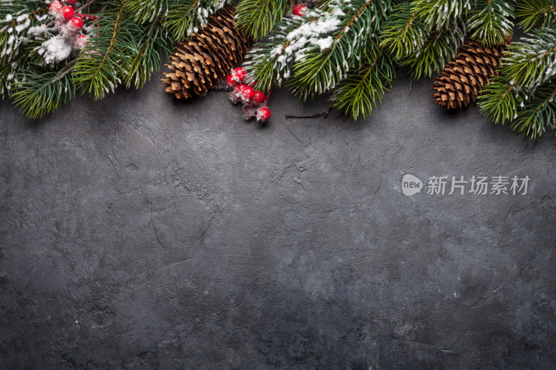 圣诞松枝松果背景