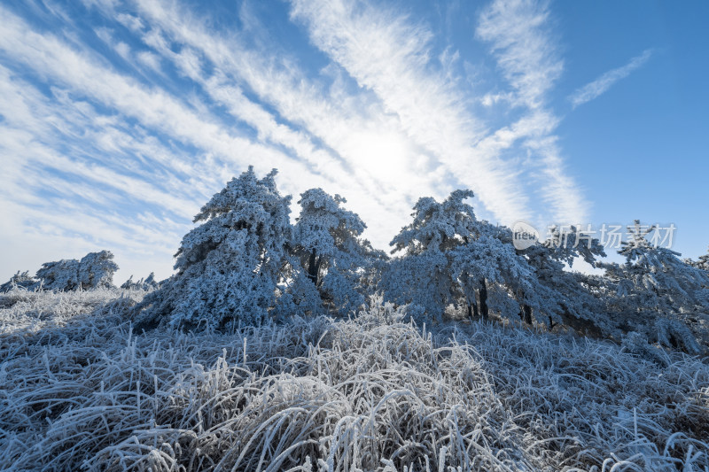 杭州临安百丈岭花岩石森林雪景