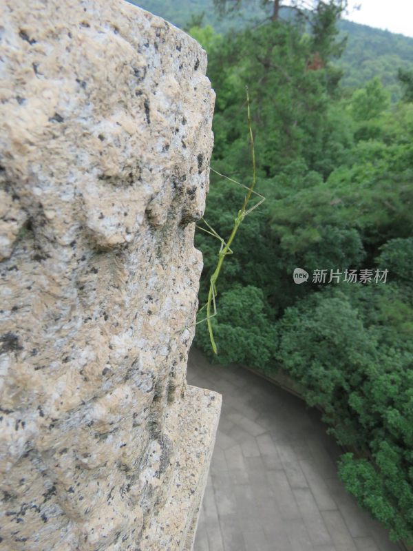 南京紫金山灵谷寺风景区