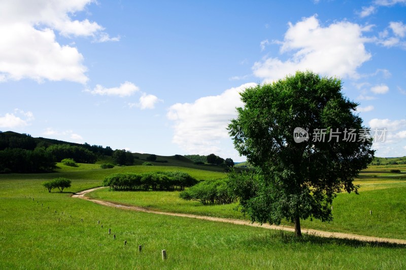 内蒙,坝上,乌兰木统,乌兰木统草原,红山,军马场,草原,草地,