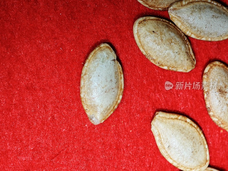 多颗棕色南瓜子小食