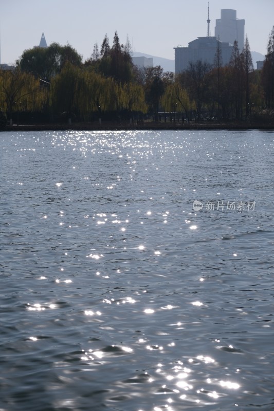 波光粼粼的城市湖边风景