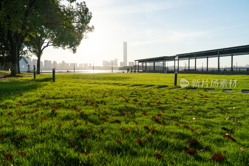 阳光照射在苏州金鸡湖边的草地