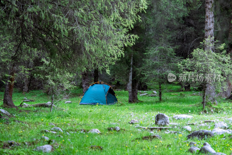 新疆伊犁恰西森林里的露营帐篷