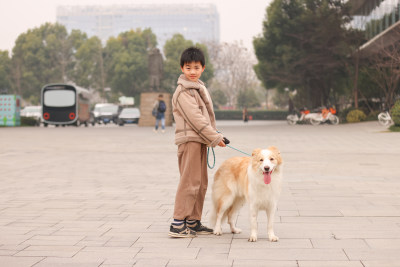 一个小男孩牵着他的宠物边境牧羊犬