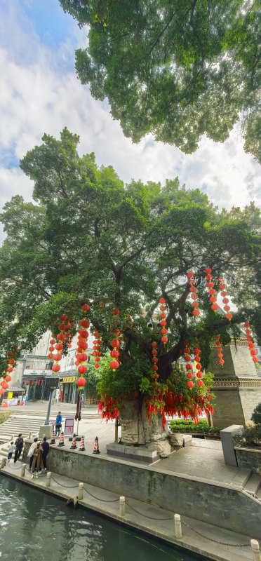 广州市荔湾湖公园许愿树