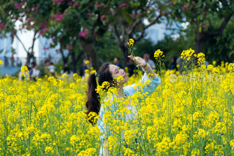 女子置身油菜花田闻花香