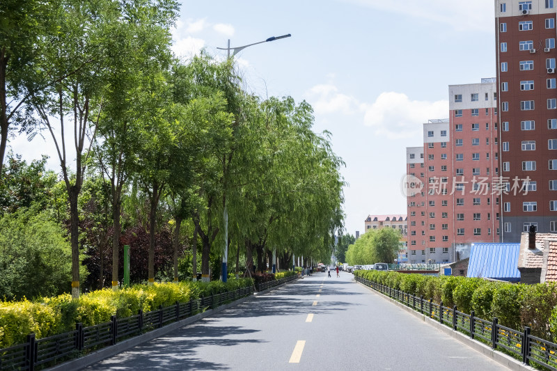 城镇阳光通透的马路场景