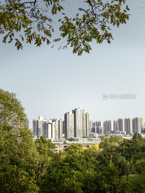 绵阳西山公园白天景观