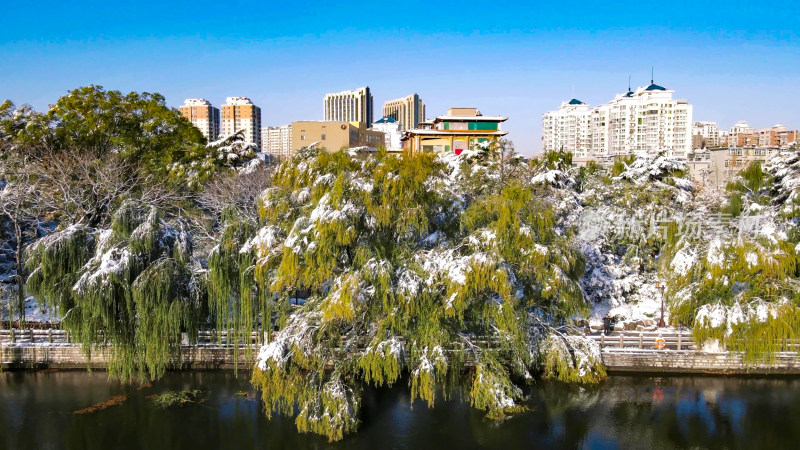 航拍山东济南大明湖5A景区雪景