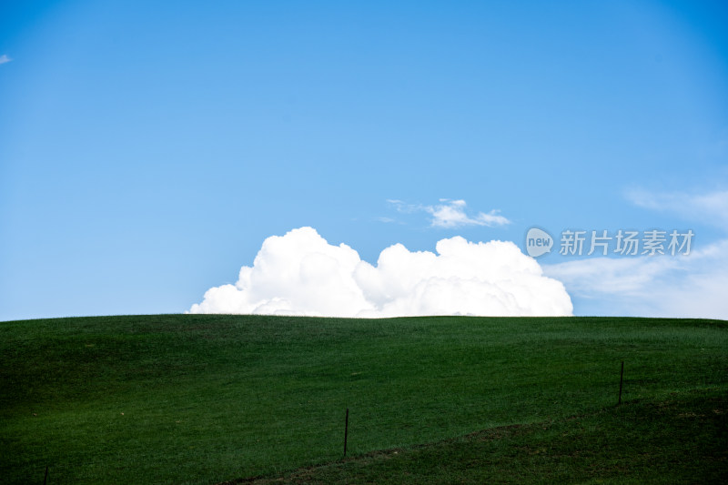 新疆巴音布鲁克草原