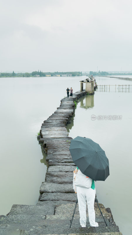 绍兴江南水乡避塘风景