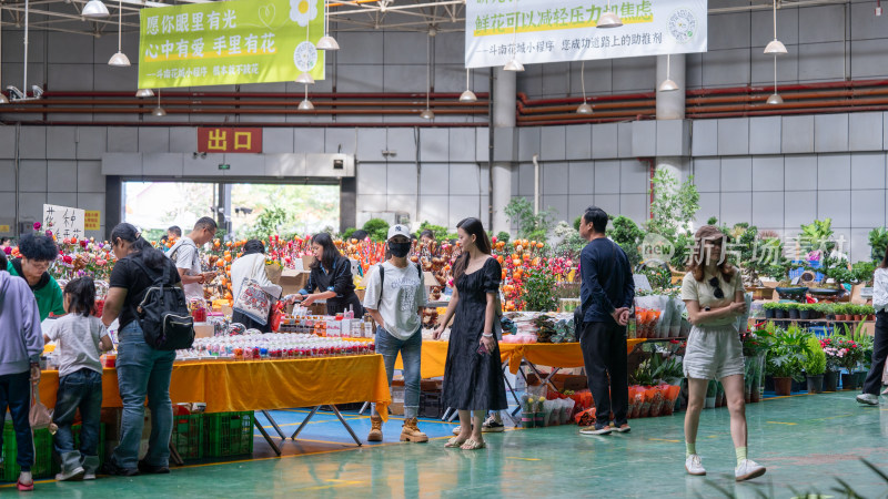 云南昆明斗南花市吸引大量游客前来买花