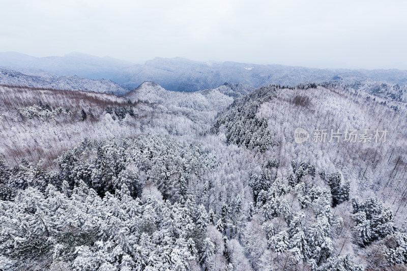 山王坪冬季雪景