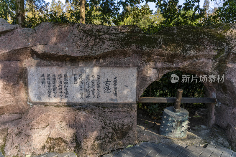 杭州西子湖畔杭州花圃风景