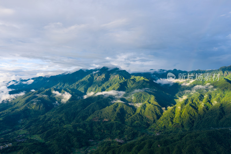 高山 绿色森林