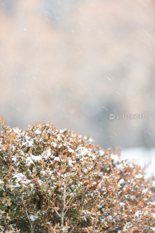 冬天冰雪季节室外图片