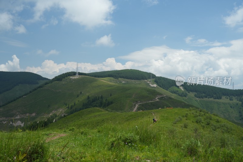 麻田岭夏季风光