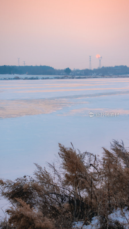 冬日的雪地