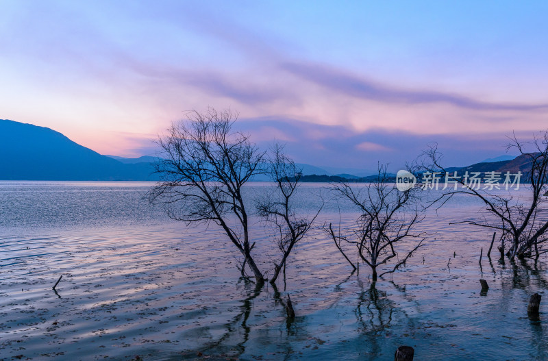 云南大理洱海湖畔枯树与夕阳晚霞自然风光