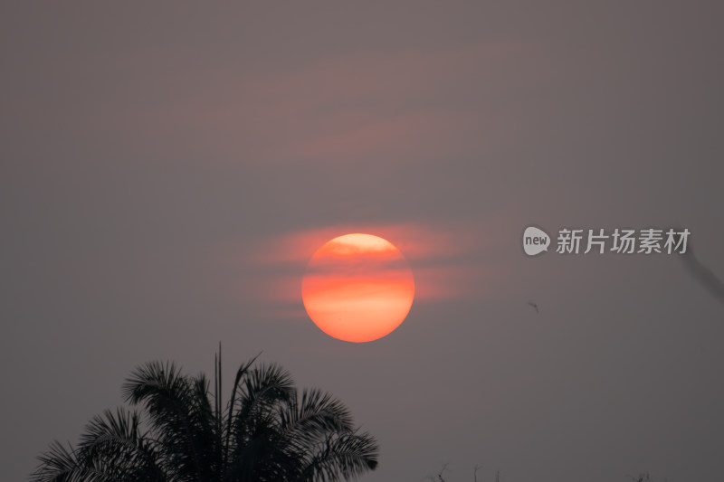 橙色夕阳与剪影