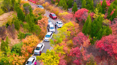 枣庄凤凰谷风景区