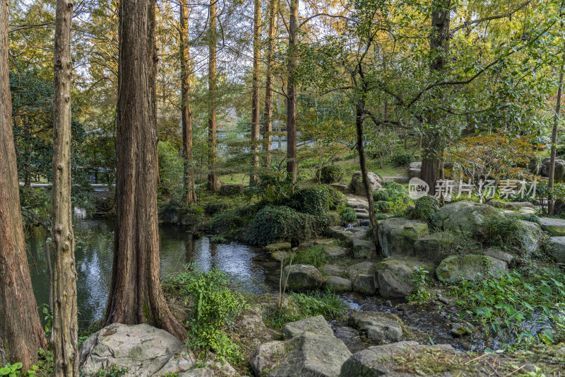 杭州西子湖畔杭州花圃风景