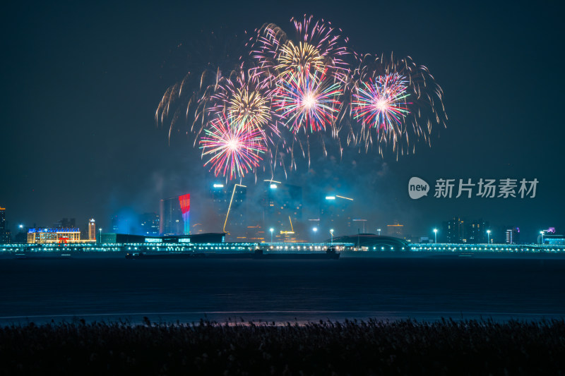 新年夜空中绽放的烟火