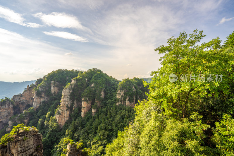 中国湖南张家界景区奇特山峰与茂密森林