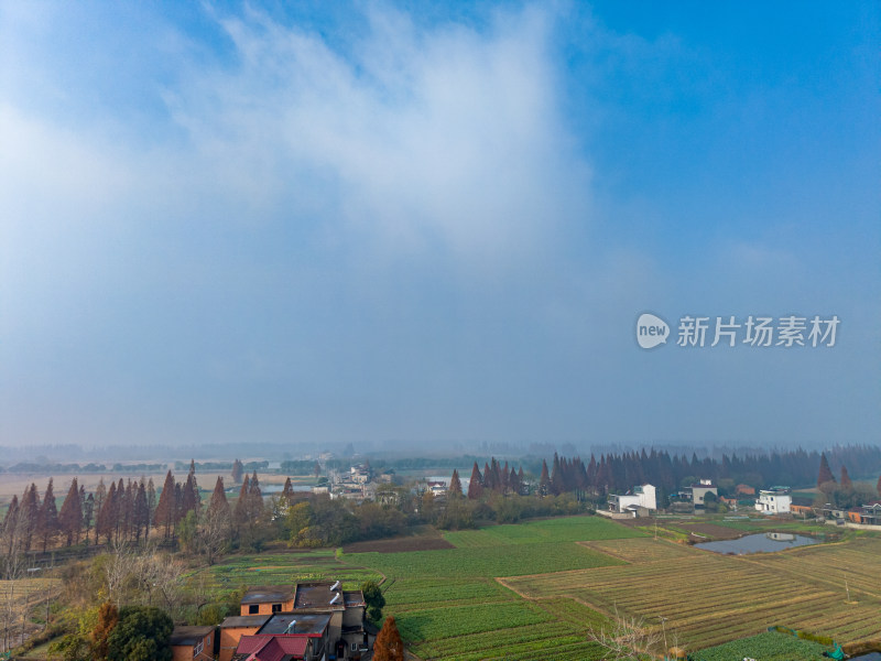 乡村田园风光俯瞰景象