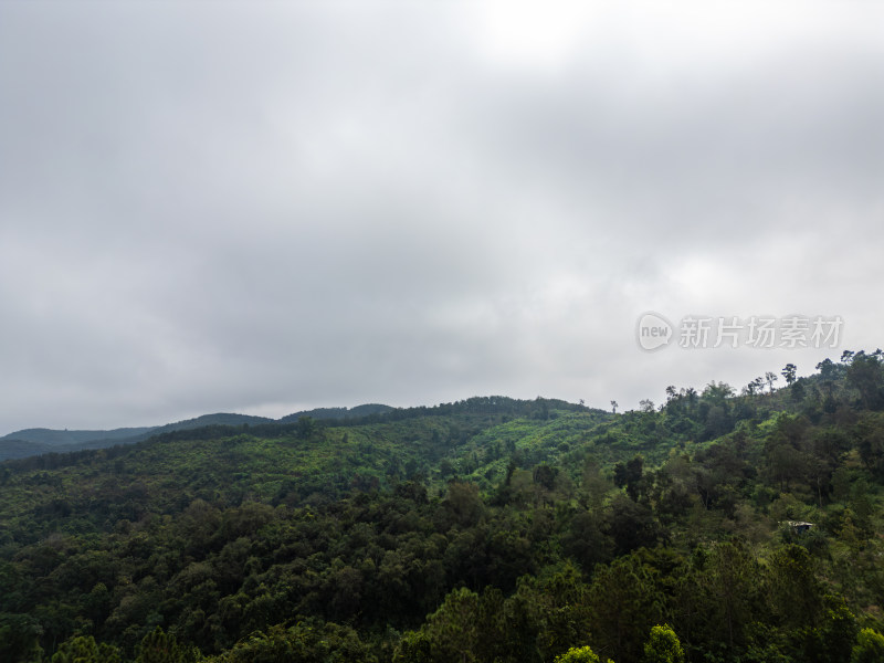 云雾笼罩下的葱郁山林鸟瞰全景