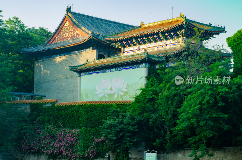 青岛繁花围绕的湛山寺古建筑