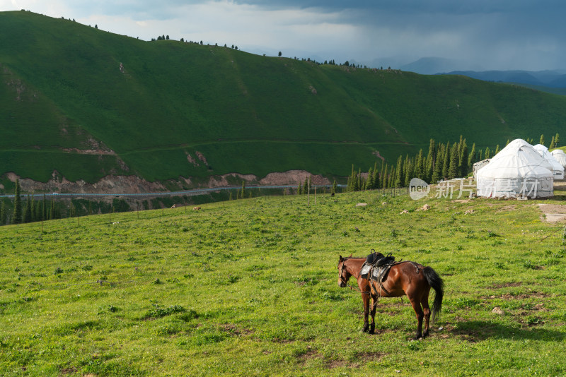 中国新疆伊犁自然风景