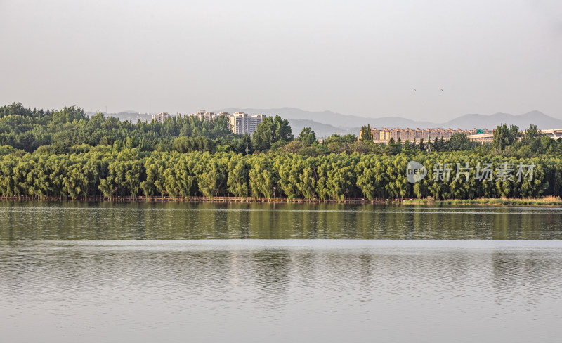 河南三门峡陕州公园天鹅湖景点景观