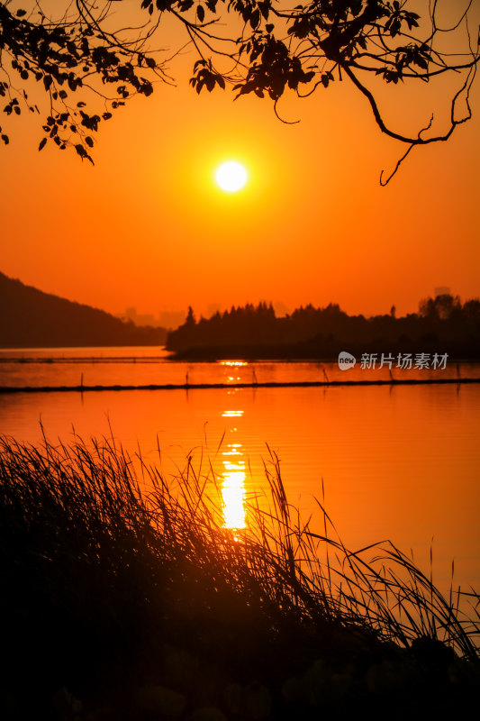 武汉东湖落雁岛景区绝美自然风光落日夕阳