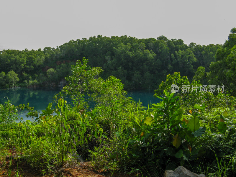 新加坡乌敏岛内的矿坑湖泊