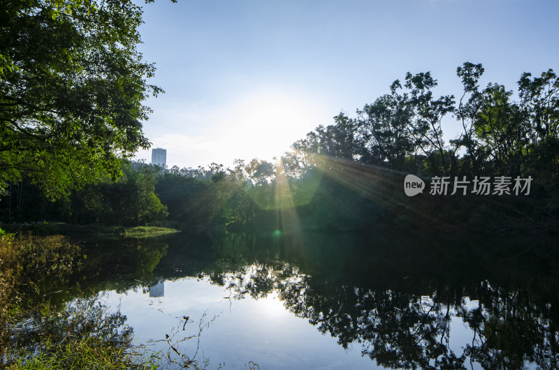 深圳笔架山公园山林水塘湖泊自然风光