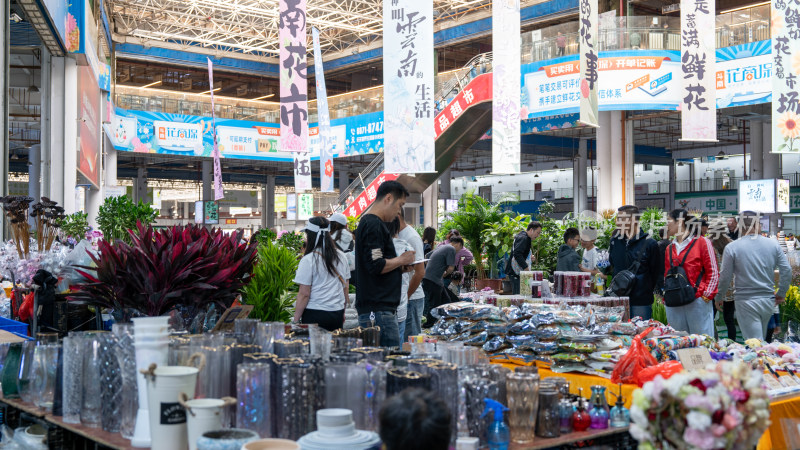 国庆假期云南昆明的斗南花市