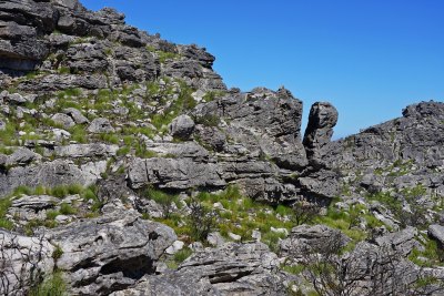 南非桌山Table Mountain，山顶风景，岩石