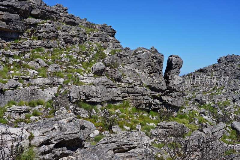 南非桌山Table Mountain，山顶风景，岩石