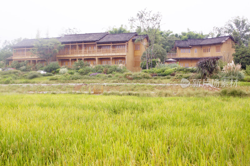 乡村房屋农业官塘新村