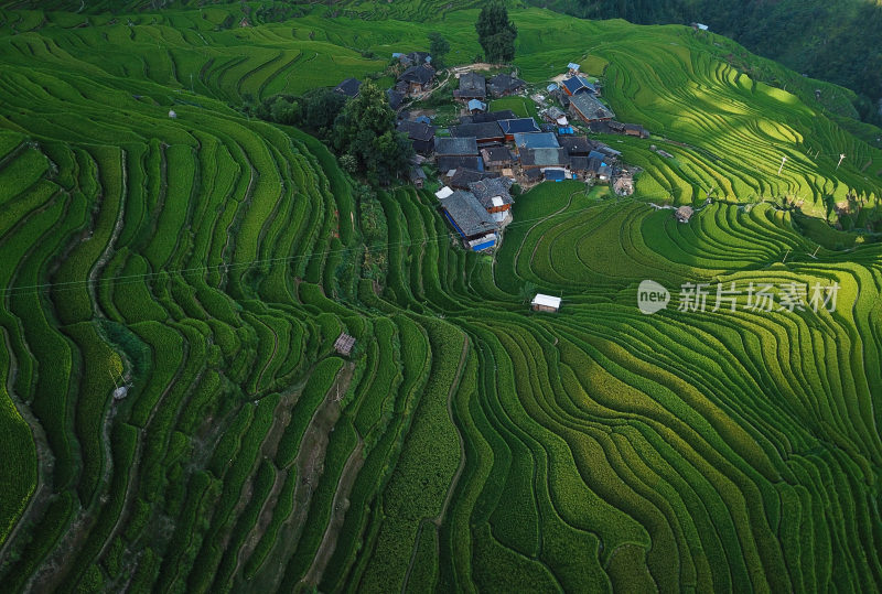 贵州黔东南从江县加榜梯田田园风光