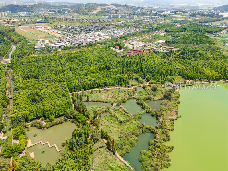 航拍昆明滇池捞鱼河湿地公园景观