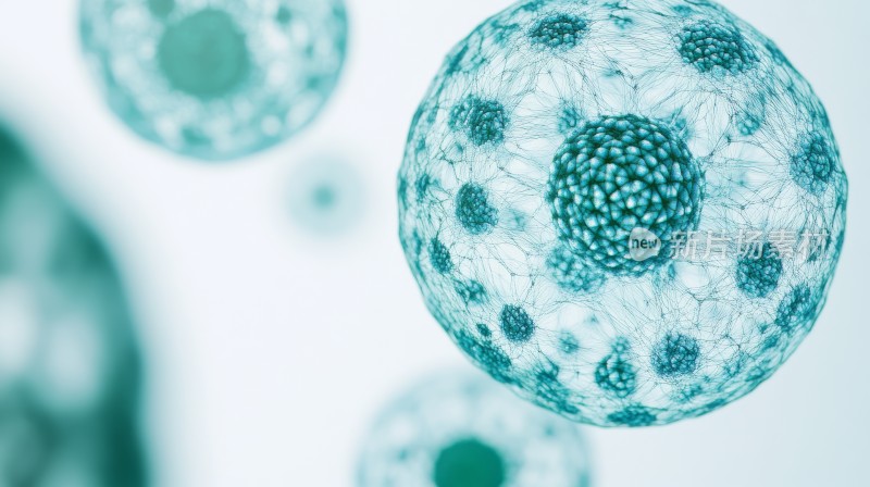 细胞世界的微观奇观