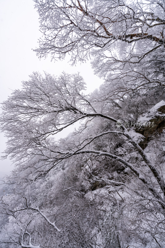 老君山下雪大山森林雾凇景观