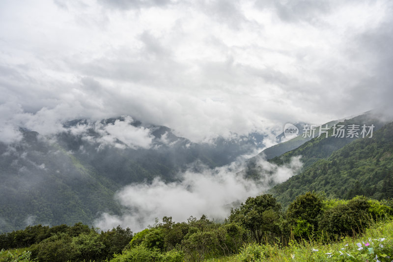 四川四姑娘山双桥沟自然风景