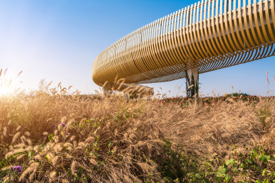 户外草地上的独特弧形金属建筑